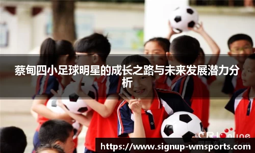 蔡甸四小足球明星的成长之路与未来发展潜力分析