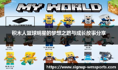 积木人篮球明星的梦想之路与成长故事分享